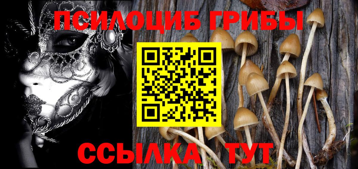 Галлюциногенные грибы GOLDEN TEACHER Бийск