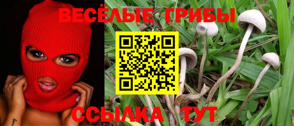 Галлюциногенные грибы мицелий  Вход с VPN  Бийск  магазин продажи наркотиков  Галлюциногенные грибы ЛСД 