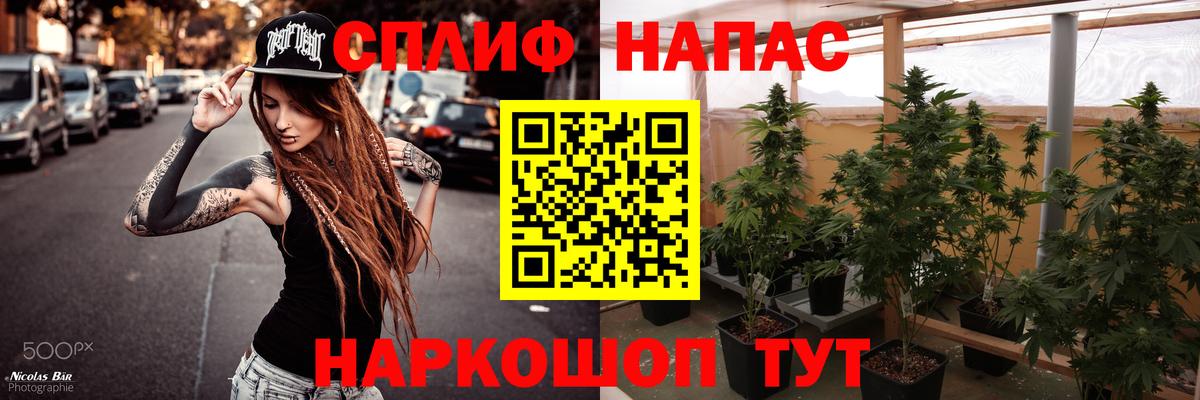 Конопля MAZAR Бийск